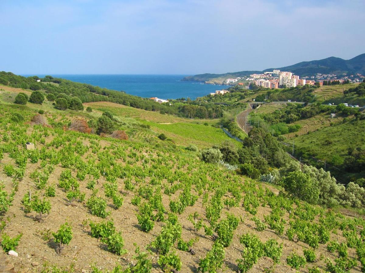 Apartment Thalacap By Interhome Banyuls-sur-Mer Luaran gambar